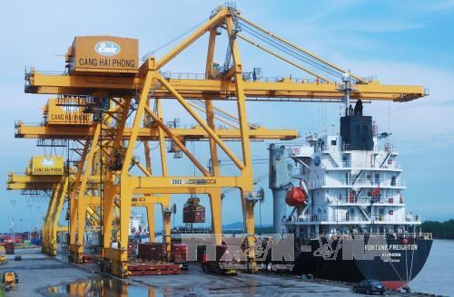 Container transportation at Chua Ve Port, Hai Phong city (Photo: VNA)