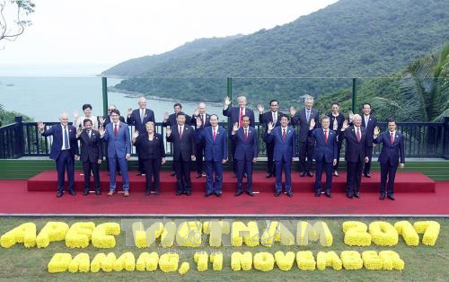 President Tran Dai Quang and foreign state leaders attend APEC 2017 in Vietnam. (Photo: VNA)