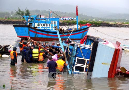 Border guards in Phu Yen province help fishermen in Song Cau town rescue a fishing vessel shunk in storm Damrey. (Photo: VNA)