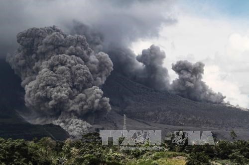 Sinabung volcano erupted on December 8 (Source: VNA)