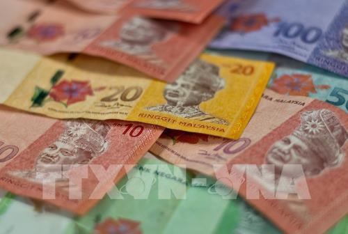 The Malaysian ringgit continued its uptrend to hit a 19 month high against the USD on January 8. (Photo: AFP/VNA)