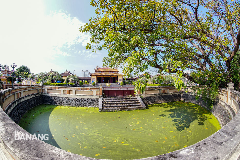 In front of the temple are a large semicircular pond and an exuberant banyan tree