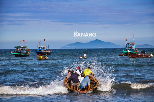  Some fishermen busy arriving to their boats to carry seafood to the shore (Photo: Kha Thinh)