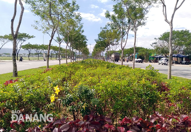 Tuyến đường Nguyễn Sinh Sắc mang sắc diện mới, phản ánh một phần sự khởi sắc trong đời sống kinh tế - xã hội của quận Liên Chiểu.