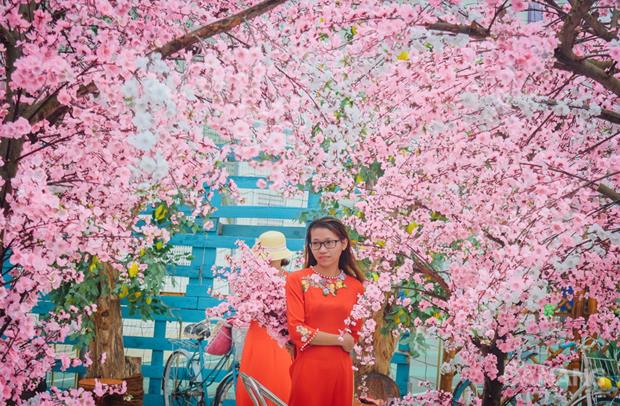   A beautiful lady in ‘ao dai’' (Viet Nam's traditional long dress) taking photo with artificial cherry blossom trees