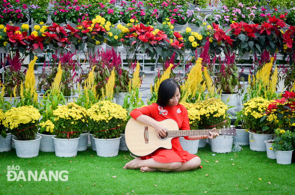 Tạo dáng chụp ảnh cùng đàn guitar bên những đóa hoa Tết. Ảnh: XUÂN SƠN