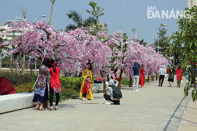 Nhiều người dân thành phố háo hức trước việc trang hoàng xuân trên đường phố.                         Ảnh: Quốc Khải 