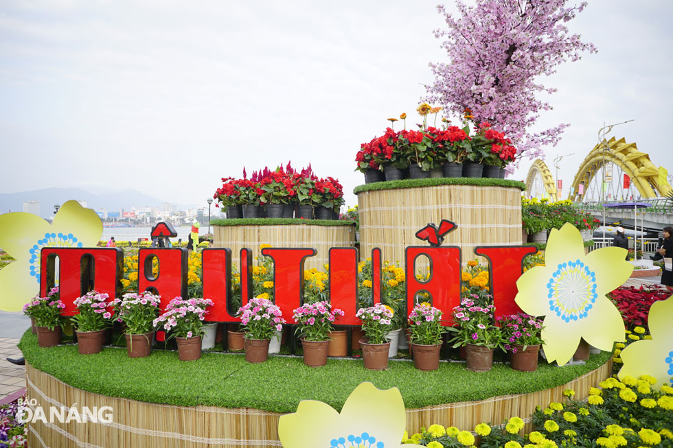 Các đại cảnh hoa ở đường Bạch Đằng trở thành địa điểm lý tưởng ghi lại khoảnh khắc mùa xuân.