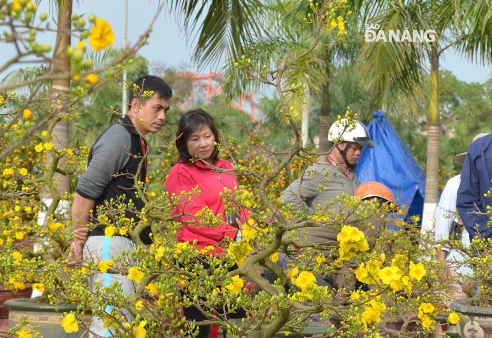 Local residents selecting ornamental plants and flowers to decorate their houses to celebrate Tet 