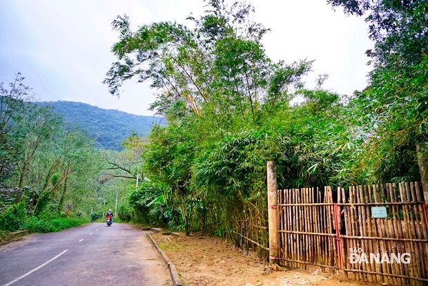  The way leading to the Son Tra Tinh Vien