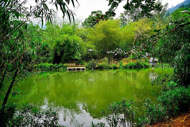    The Son Tra Tinh Vien has a small lotus flower lake in the middle