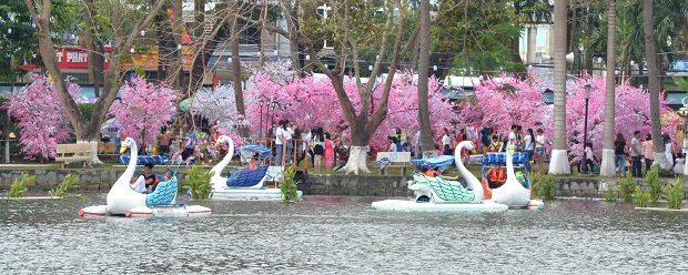 Water biking on lake is amongst favourite things that locals and visitors want to do here (Photo: Minh Tri)