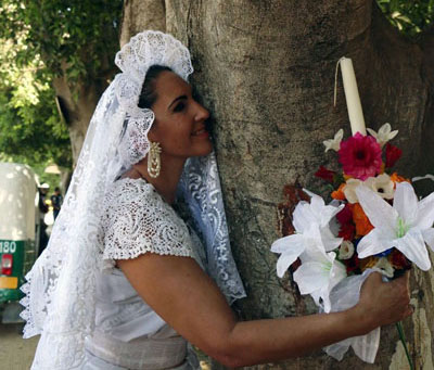 Đám cưới với… cây