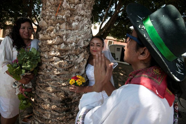 Nhà hoạt động Peru, Richard Torres tham gia sự kiện “Cưới cây”. Ông Torres từng “cưới cây” vào năm 2014 ở Colombia.