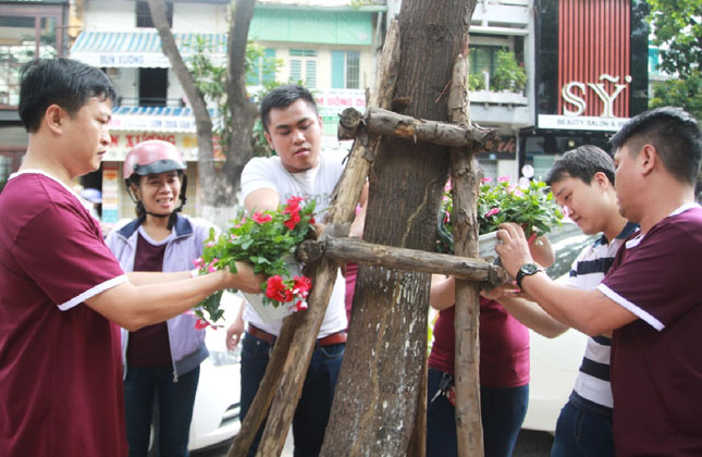 Từ kinh phí xã hội hóa, phường Hải Châu 1 (quận Hải Châu) tiến hành treo, đặt hơn 1.000 giở hoa trên vỉa hè đường Bạch Đằng và Trần Phú. 	