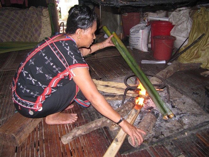 Traditional taste: An old Cơ Tu woman cooks Cơm Lam, or rice cooked in a bamboo tube. — VNS Photo Công Thành Read more at http://vietnamnews.vn/life-style/425459/co-tu-cultural-day-to-stage-in-da-nang.html#vItJQ08EACHbaOYk.99