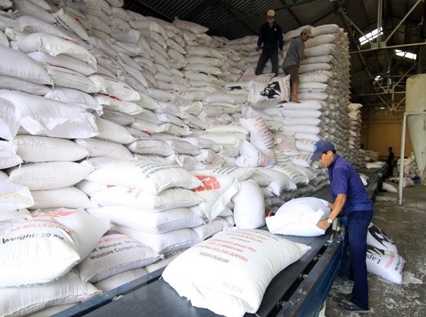 Philippines to import 250,000 tonnes of rice from Vietnam or Thailand - Illustrative image (Source: VNA)