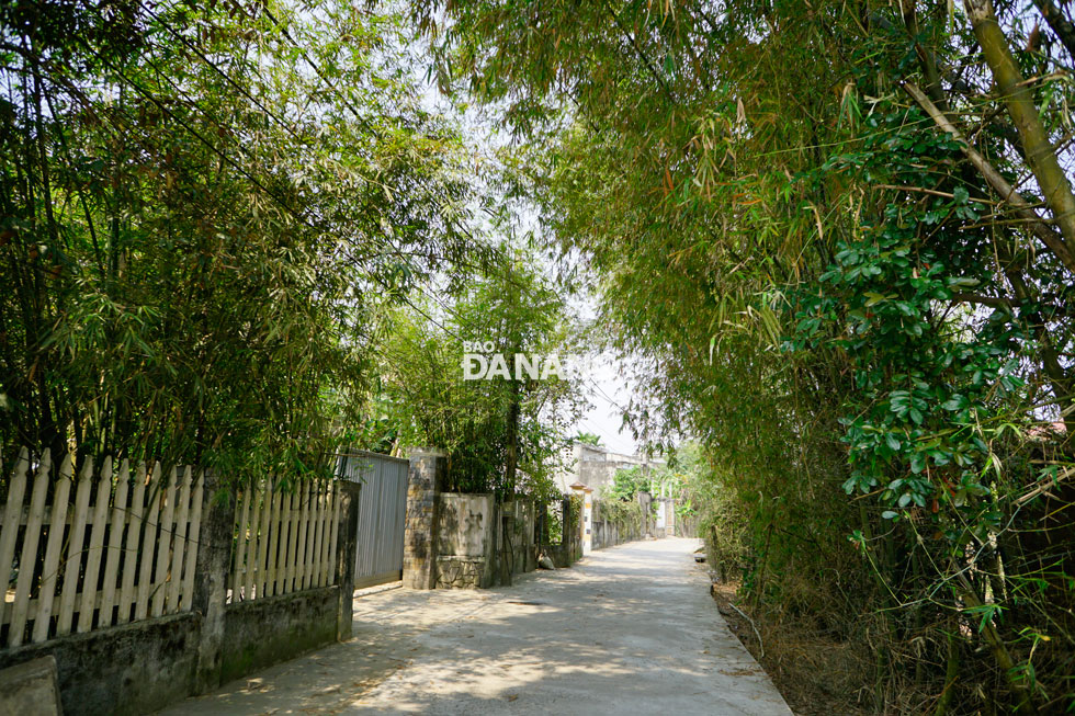 2.	Những lũy tre xanh phủ bóng rợp mát trên con đường dẫn vào làng cổ Phong Nam, gợi nên vẻ yên ả đặc trưng của một vùng quê thuộc xứ Đàng Trong thuở trước.