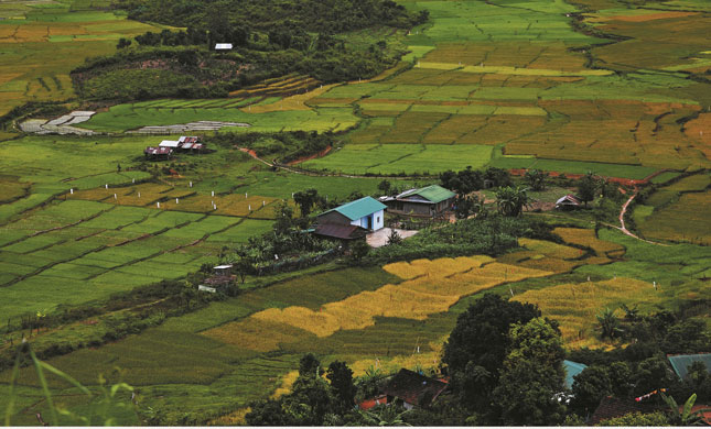 Quê em - Hoàng Đình Chiểu (Kon Tum)