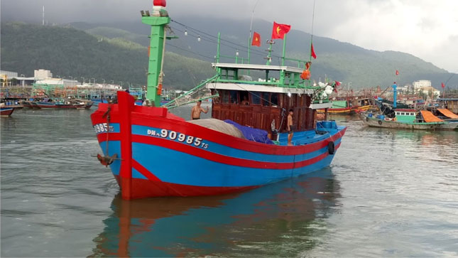 Quận Sơn Trà tiếp tục hỗ trợ đóng mới, nâng cấp tàu cá và lắp đặt các trang, thiết bị hiện đại phục vụ cho vươn khơi.