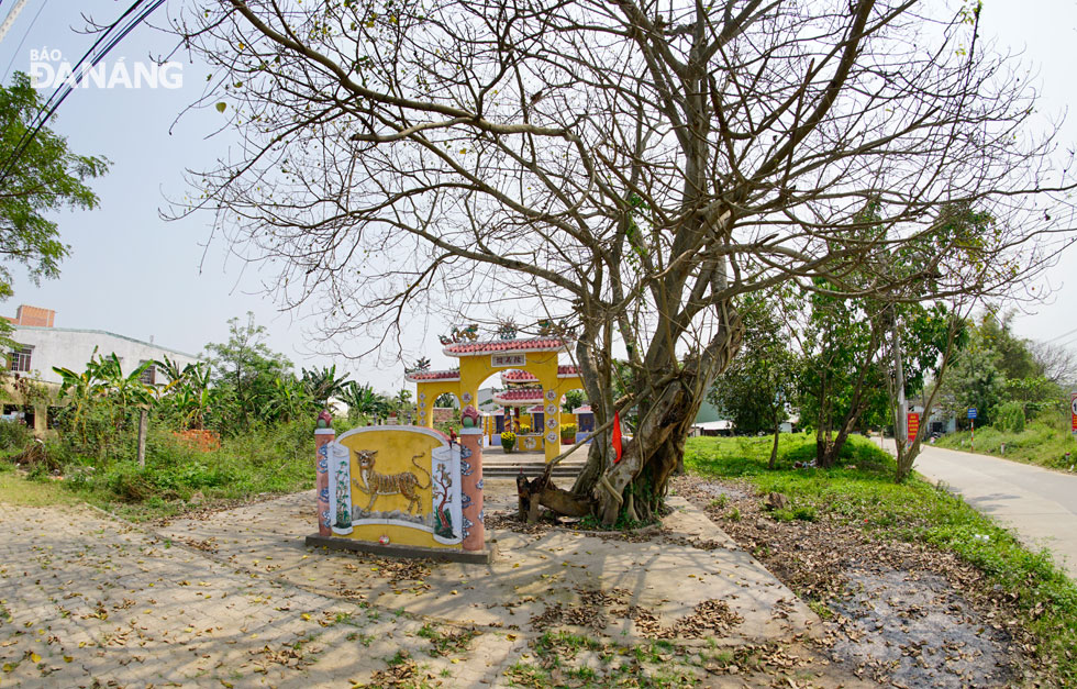  The Phong Nam communal house lies quietly under the Bodhi tree along a path leading to the namesake ancient village where Ong Ich Khiem, a talented General under the reign of the Nguyen feudal dynasty, was born.