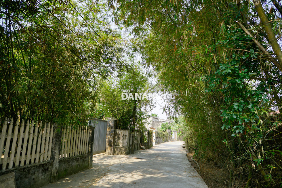  Green bamboo clusters shade internal paths, evoking the old world air of peace and tranquility of an ancient village.