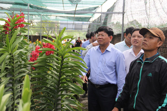 Phó Bí thư Thường trực Thành ủy Võ Công Trí (trái) kiểm tra thực tế các mô hình nông nghiệp ứng dụng công nghệ cao tại vùng hoa Dương Sơn, xã Hòa Châu. 		Ảnh: Q. KHẢI
