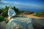 Discover amazing Chess Board Peak on Son Tra Peninsula
