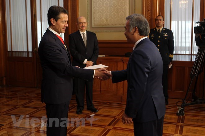 Vietnamese Ambassador to Mexico Nguyen Hoai Duong (R) presents credential letter to Mexican President Enrique Peña Nieto (Source: VNA)