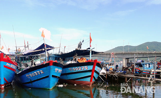 Many fishing boats being anchored at Da Nang’s Tho Quang fishing wharf