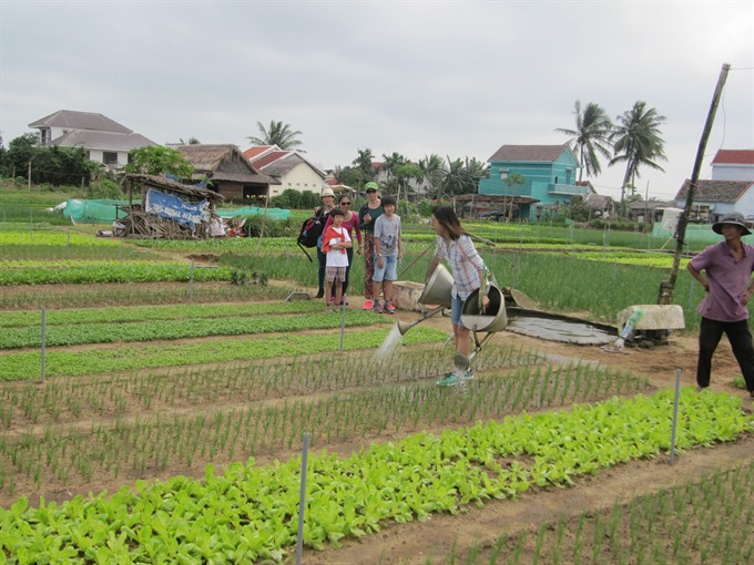 Farming tips: Tourists enjoy farming skills at Trà Quế herb farm tour service in Hội An town. The vegetable village has seen as the most successful combined model of agriculture and tourism. — VNS Photo Công Thành Read more at http://vietnamnews.vn/life-style/448300/positive-policy-making-needed-for-agri-tourism-booming.html#DoDmvHcJ5s0yJ94G.99