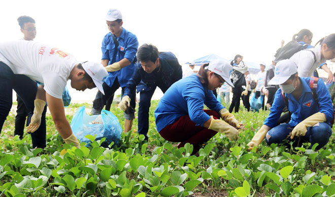 Local YU members cleaning up the Thanh Khe beach