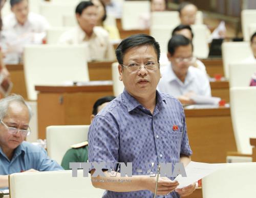 Đại biểu Quốc hội tỉnh Đắc Nông Nguyễn Trường Giang chất vấn. Ảnh: Văn Điệp/TTXVN