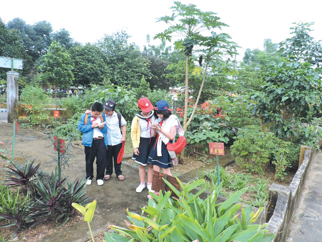 Các em học sinh thuộc Câu lạc bộ Phóng viên nhỏ của Trường TH Huỳnh Ngọc Huệ  “tác nghiệp” trong vườn của Tiểu đoàn Tăng - Thiết giáp 699 trong dịp đến thăm đơn vị vào ngày 12-12-2017. (Ảnh do nhà trường cung cấp)