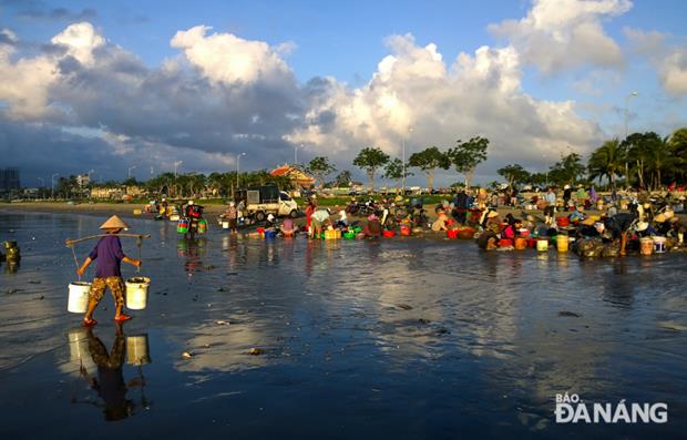 A beach is bustling with many fishermen, seafood traders, and buyers at an early-morning fish market