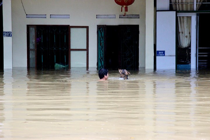 Nhiều nơi tại Hà Giang ngập sâu trong nước lũ. (Ảnh: Báo Hà Giang)