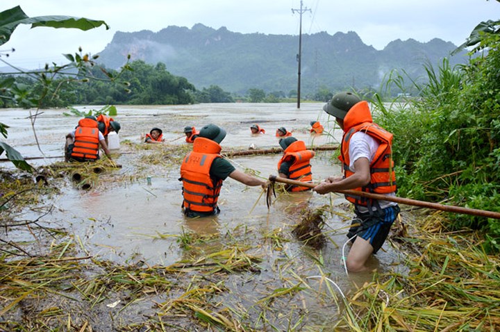 Bộ đội giúp dân gặt lúa bị ngập úng tại Hà Giang. (Ảnh: Báo Hà Giang)