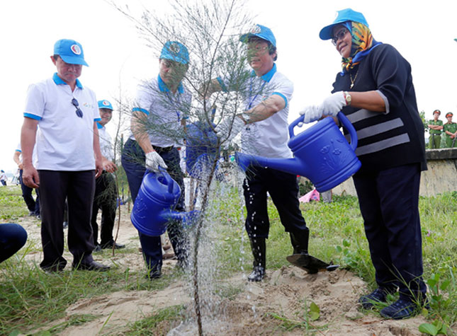 The leaders of the Vietnamese Ministry of Natural Resources and the Environment, along with GEF-6 delegates plating willow trees along the Thanh Khe beach 