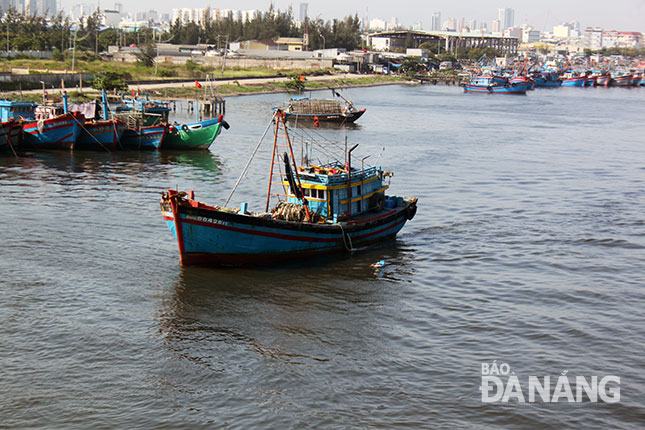 Mở lối xuống biển, giảm ô nhiễm môi trường tại âu thuyền Thọ Quang