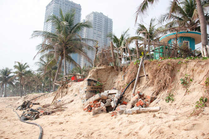 Chuyên gia Hà Lan chia sẻ kinh nghiệm chống xói mòn bờ biển