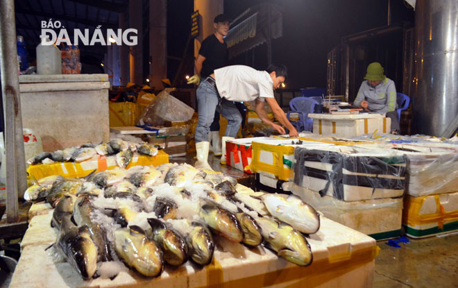Thí điểm bán đấu giá hải sản tại chợ đầu mối thủy sản Thọ Quang