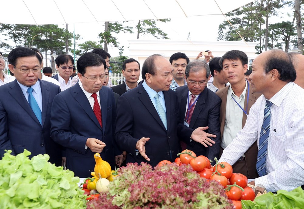 Hình ảnh Thủ tướng chủ trì hội nghị về đầu tư vào nông nghiệp