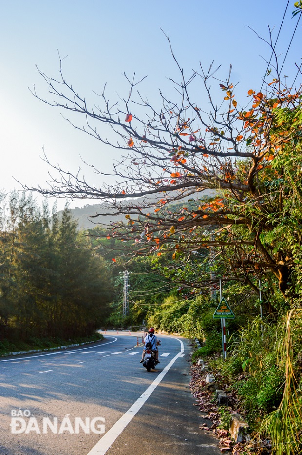 … a road to the Son Tra Peninsula in a sunny afternoon