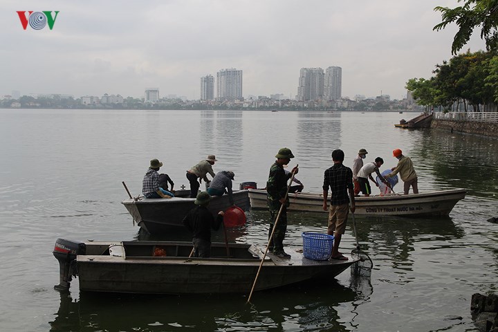 Hàng trăm người gồm các lực lượng công nhân môi trường, sinh viên tình nguyện, dân quân... đã được huy động tham gia vớt cá chết.
