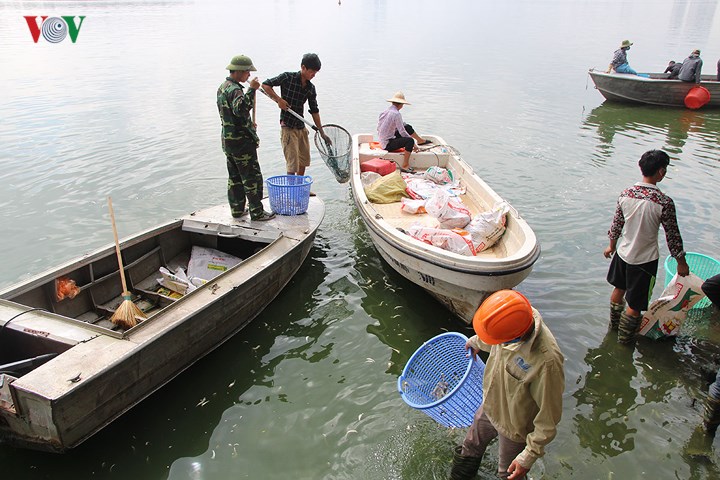 Những chiếc thuyền được công nhân môi trường sử dụng để vớt cá chết nổi trên mặt nước.