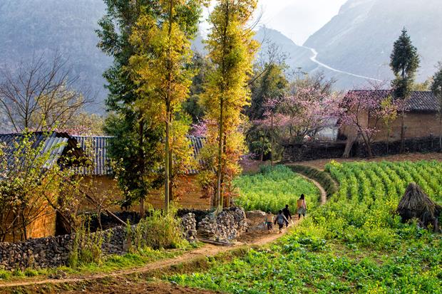 ‘Buc Hoa Vung Cao’ (Picture of a highland area) by Nguyen Anh Cuong