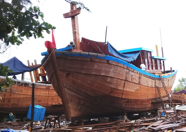 The building of a large capacity wooden-hulled fishing boat is underway