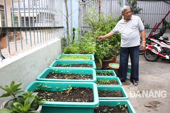 Nhiều hộ dân ở quận Thanh Khê tận dụng chất thải hữu cơ để trồng rau sạch. Ảnh: Ng. Hà