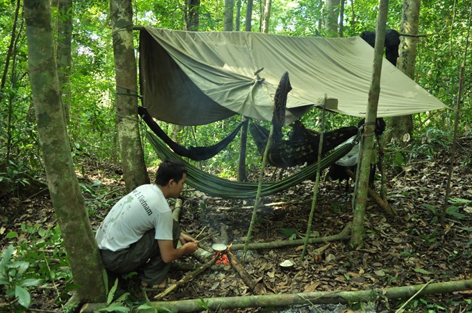 Tent time: Bùi Văn Tuấn prepares accommodations on a jungle trip in Sơn Trà nature reserve in Đà Nẵng City. — VNS Photo Bùi Văn Tuấn Read more at http://vietnamnews.vn/sunday/features/462936/tracking-langurs-in-son-tra-nature-reserve.html#5auicLBSaoW01iec.99