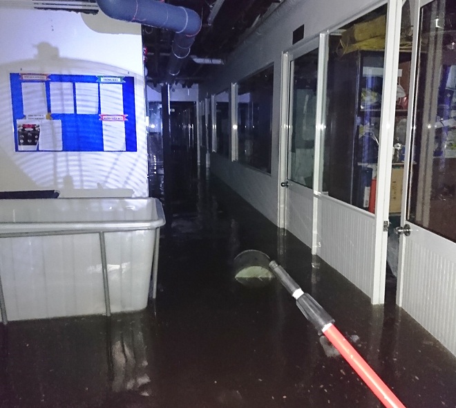 Các phòng làm việc ở tầng hầm một khách sạn ở đường An Thượng 1 bị ngập nước.